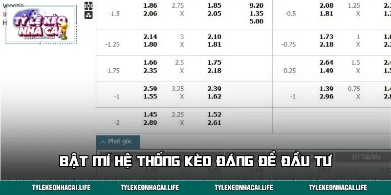 Bật mí hệ thống kèo đáng để đầu tư
