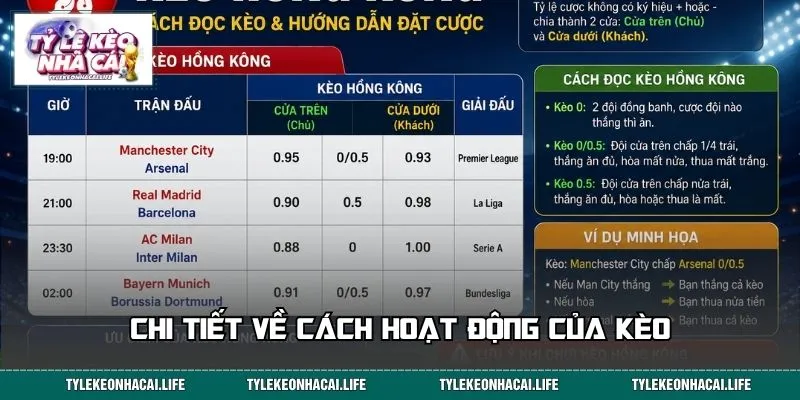 Chi tiết về cách hoạt động của kèo