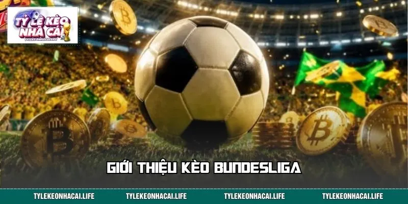 Giới thiệu kèo Bundesliga